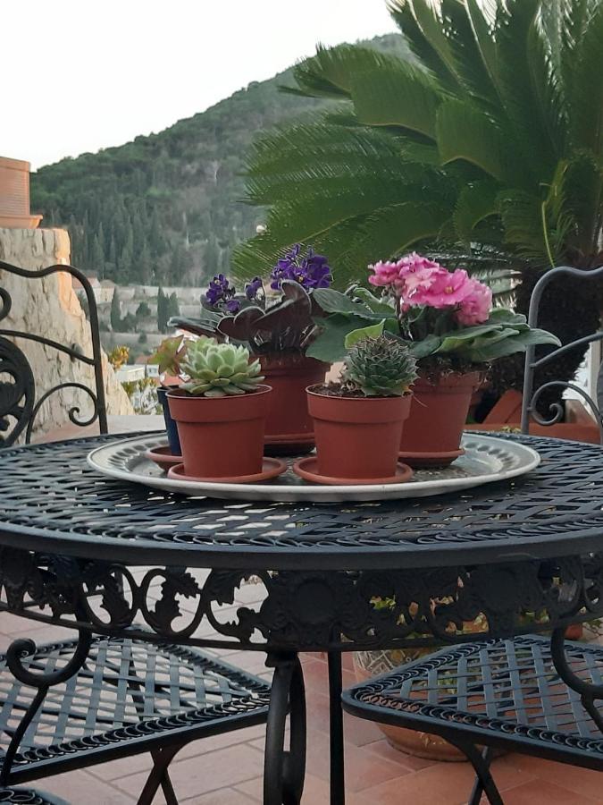 Luxury Sea View Apartments Dubrovnik Eksteriør billede